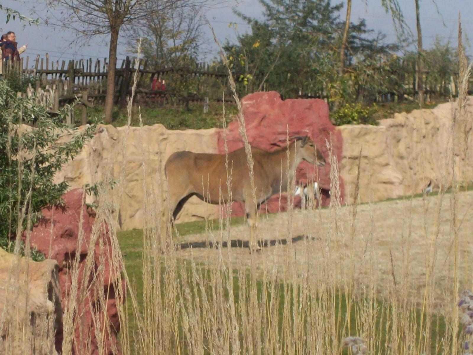 Zoom 18.10.2008-079.jpg